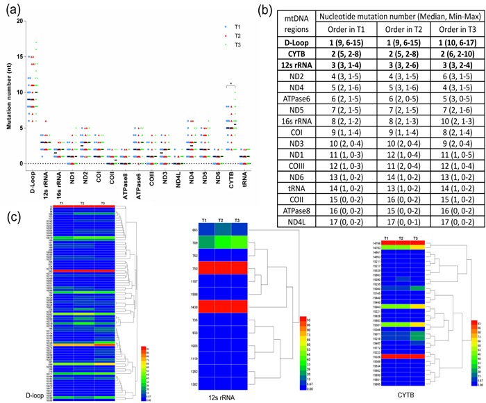 Figure 2.jpg