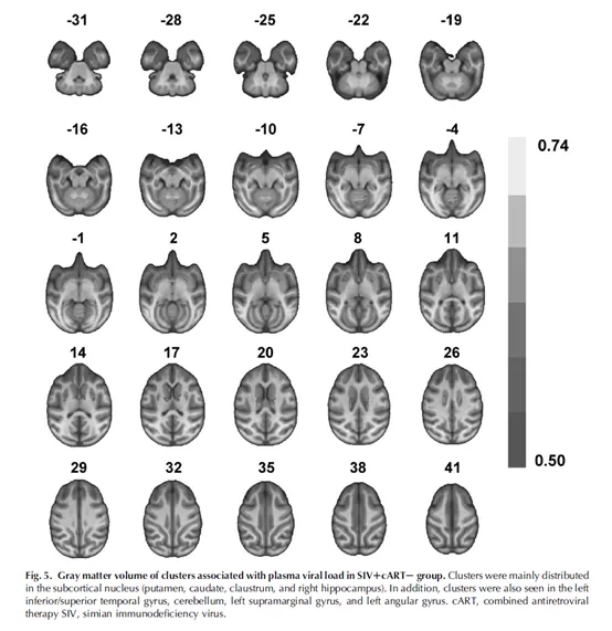 640.webp (5).jpg