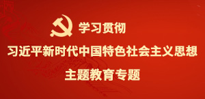 学习贯彻习近平新时代中国特色社会主义思想主题教育专题