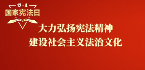 大力弘扬宪法精神  建设社会主义法治文化 